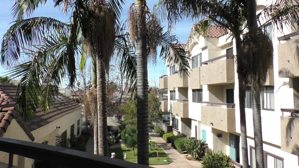 View of a courtyard with palm trees and building exteriors