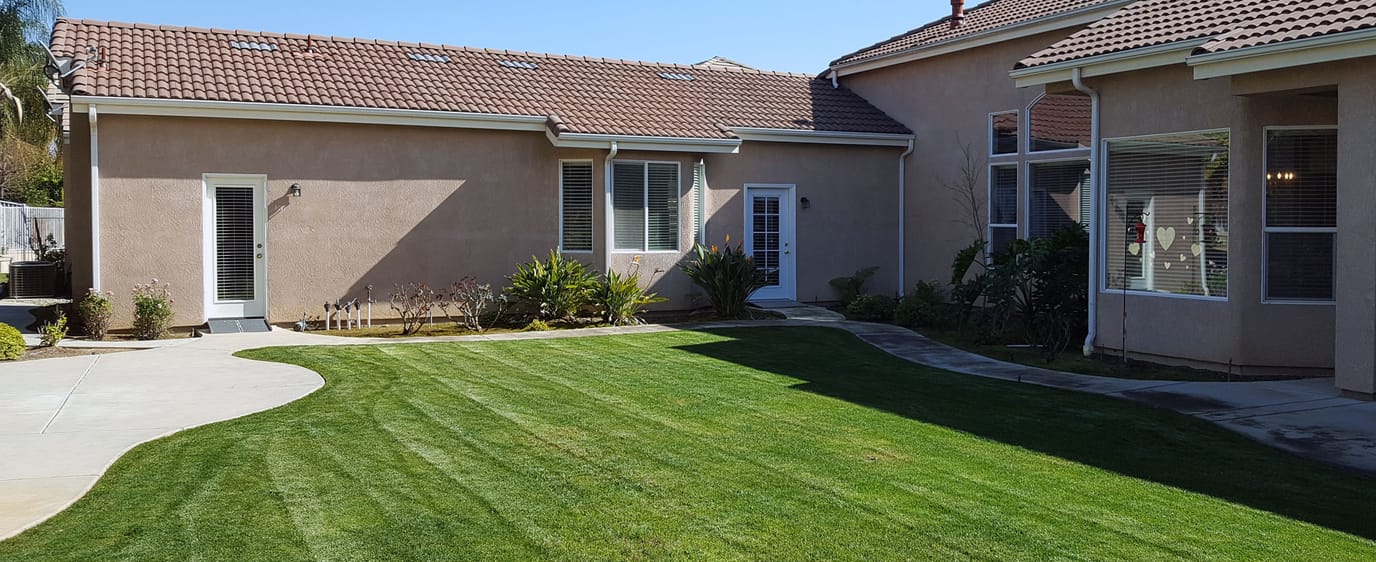 Well-maintained outdoor space with lawn and plants