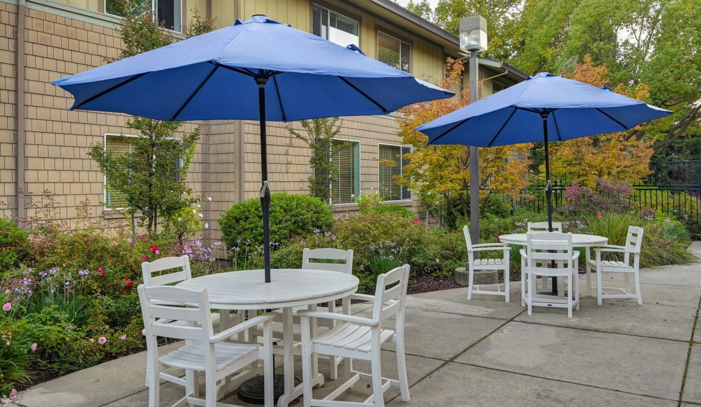 Outdoor seating area with blue umbrellas and landscaped gardens