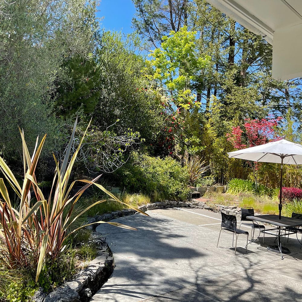 Serene outdoor space with plants and seating area
