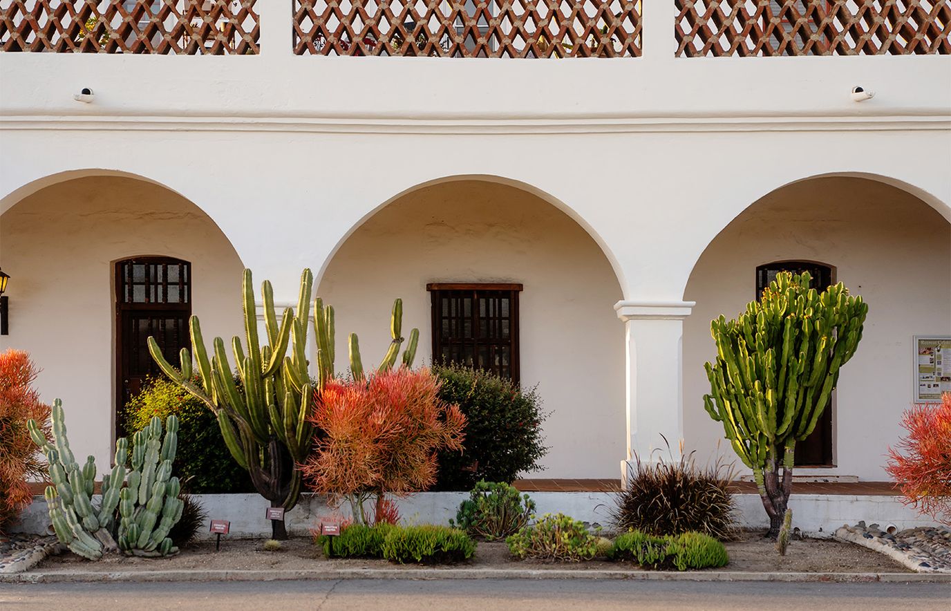 Outdoor area with cacti and arched windows