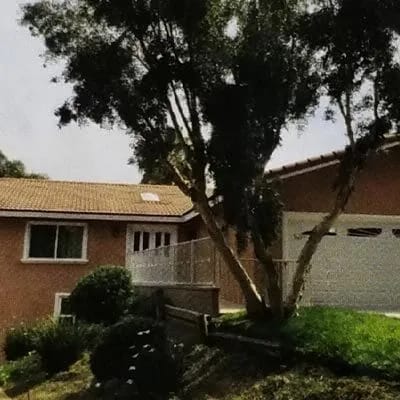 Exterior view of a building surrounded by trees