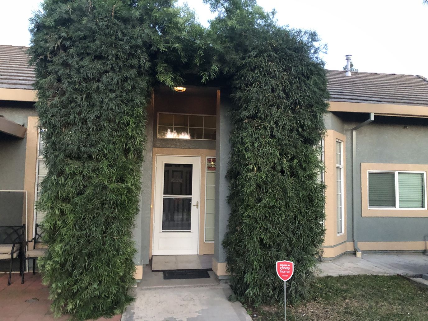 Front entrance of a senior living facility covered in greenery