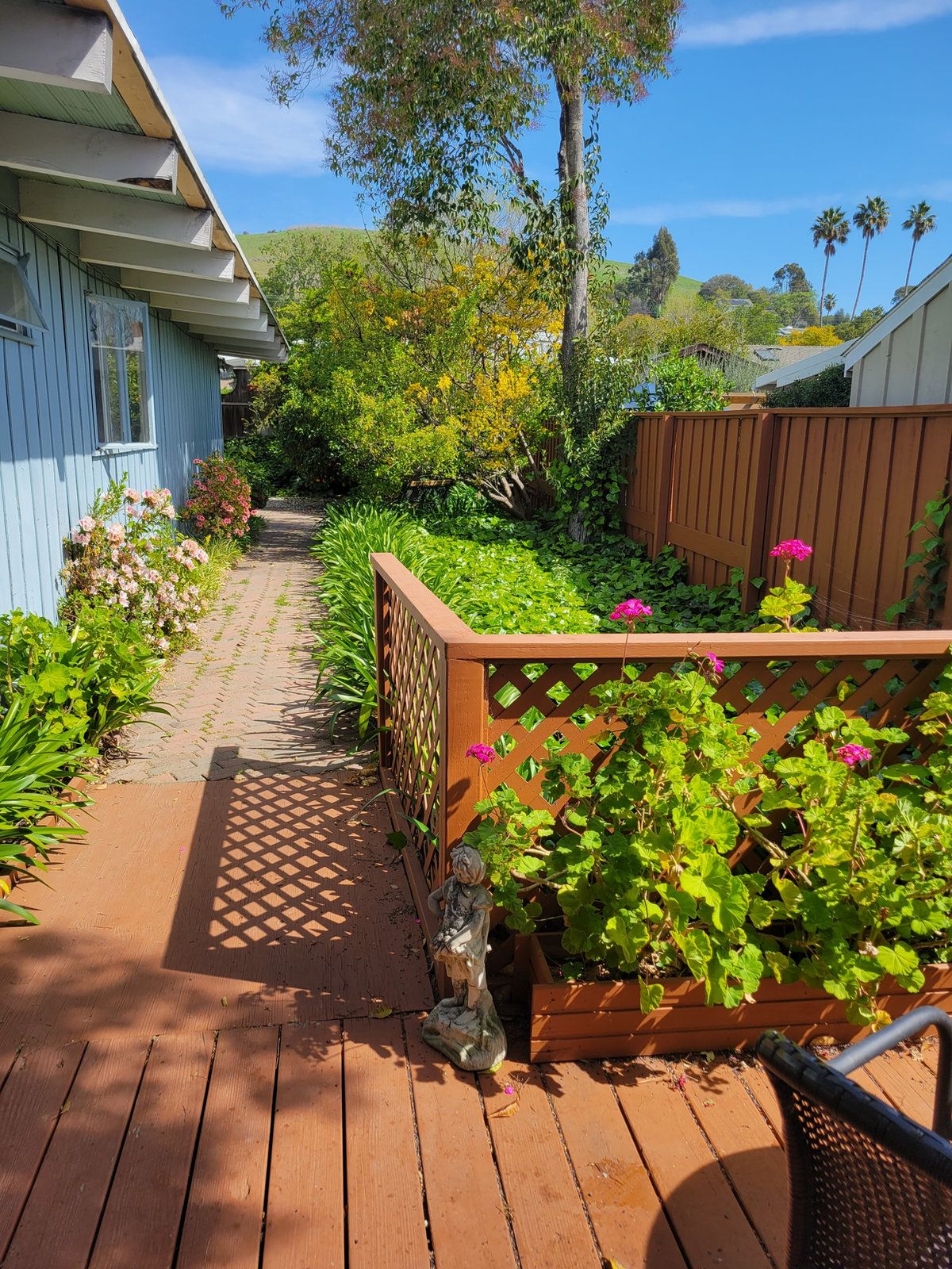 Pathway with greenery and flowers in a garden area