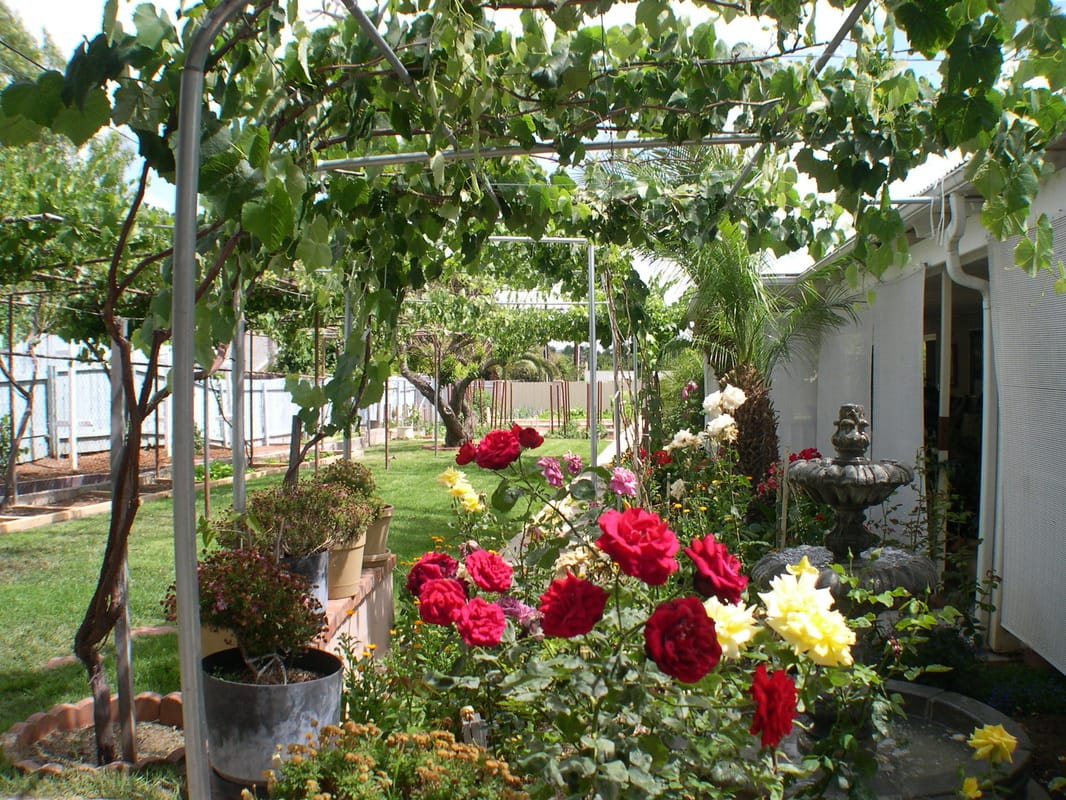 Beautiful garden with flowers and greenery