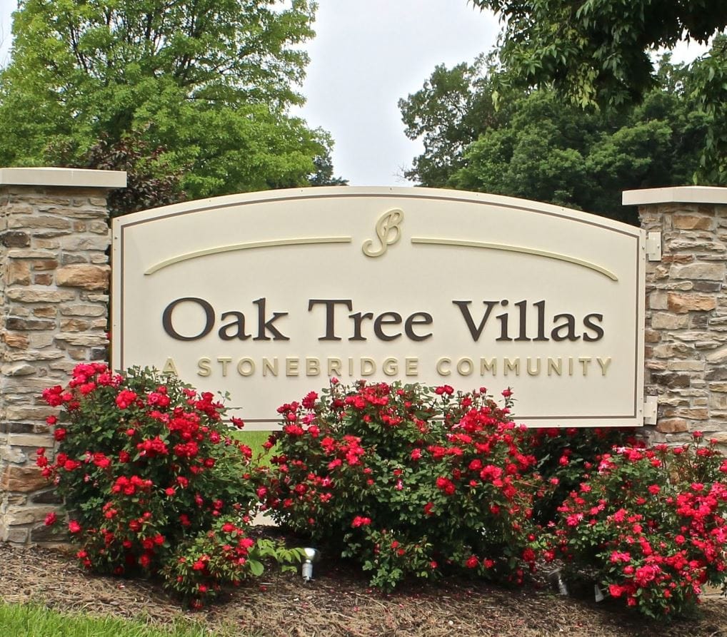 Oak Tree – ALF