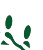 ElderCare Services