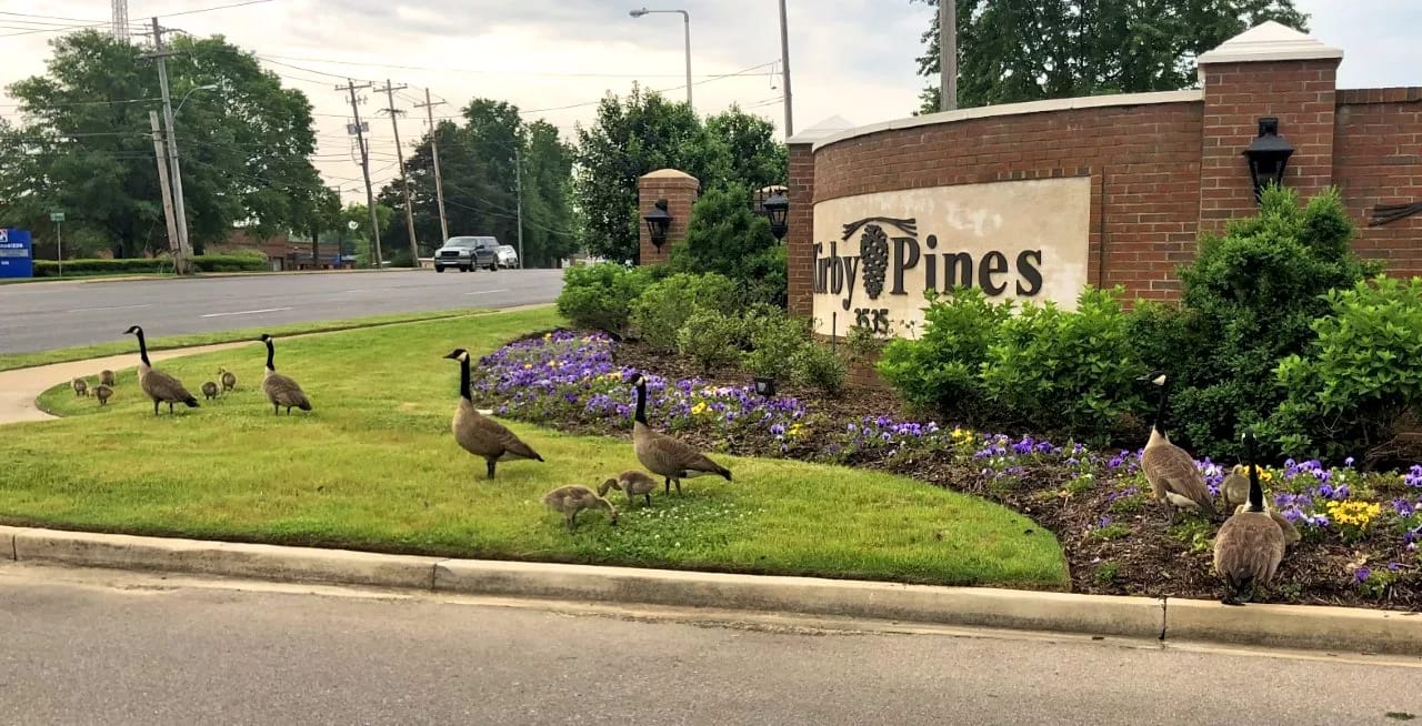 Kirby Pines LifeCare Community