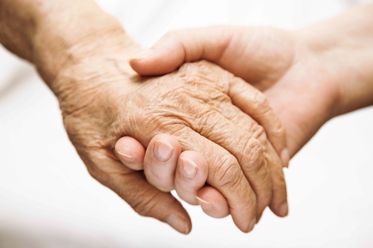 The Village Care Home