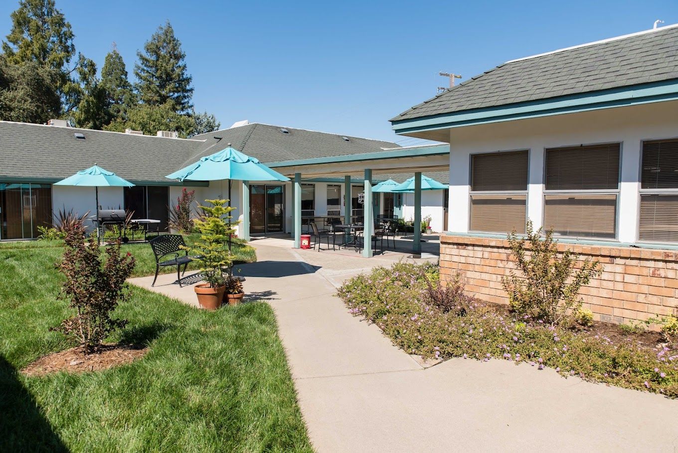 Mountain Manor