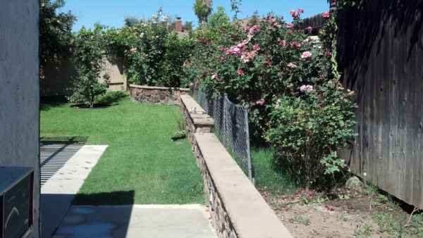 Well-landscaped outdoor garden area