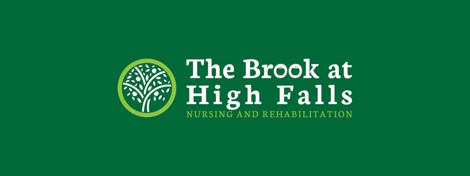 The Brook at High Falls