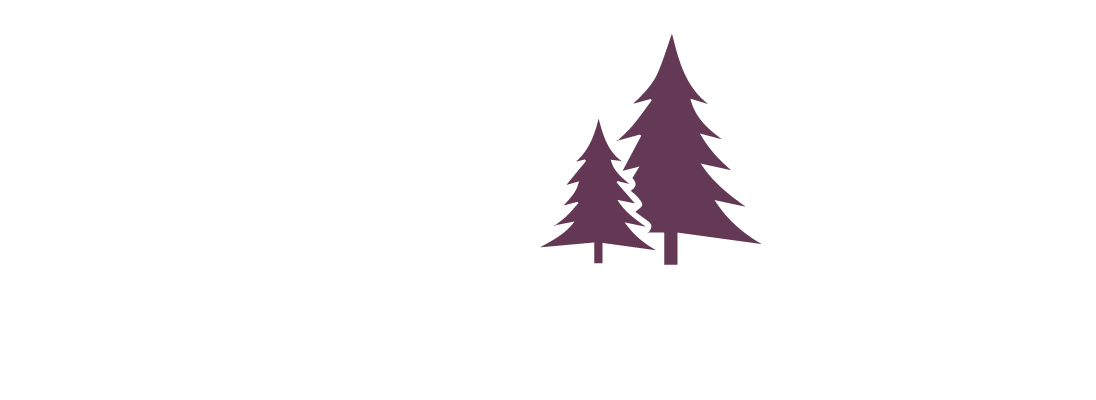 ALPINE HEALTHCARE CENTER