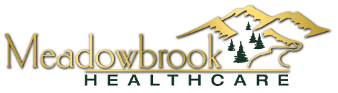 Meadowbrook Healthcare
