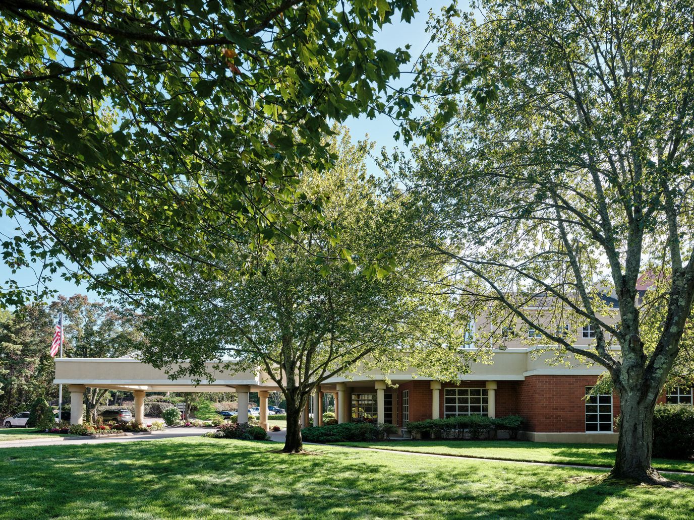 Building exterior framed by trees on a sunny day