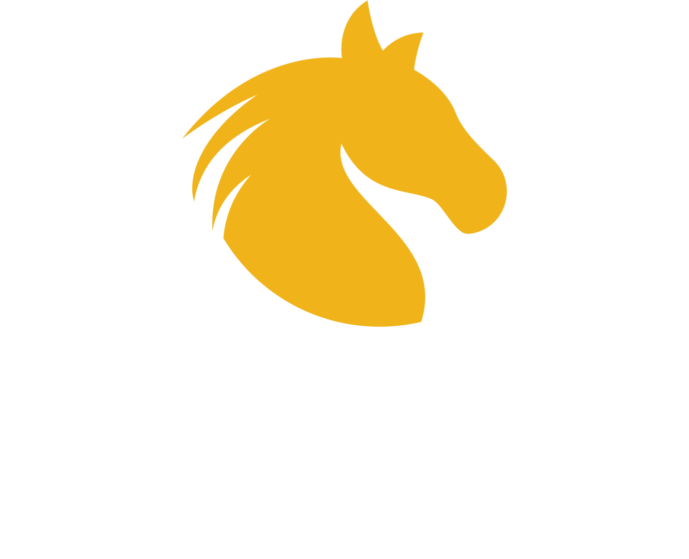 Fairmont Rehabilitation and Healthcare Center LLC