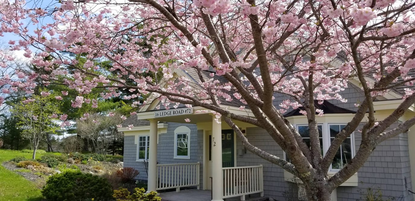 Exterior view of the facility with blooming trees