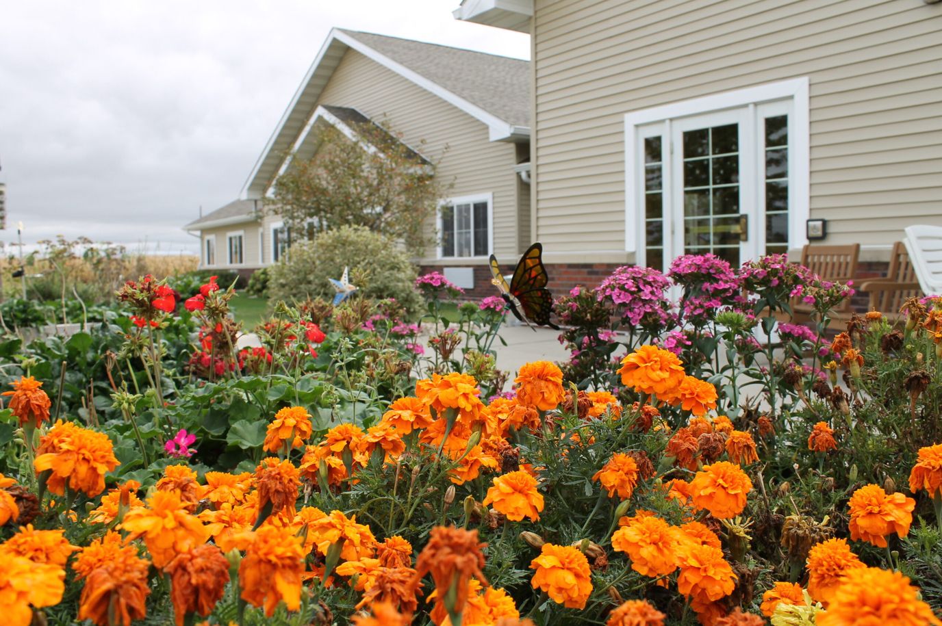 Vibrant garden with colorful flowers near the building
