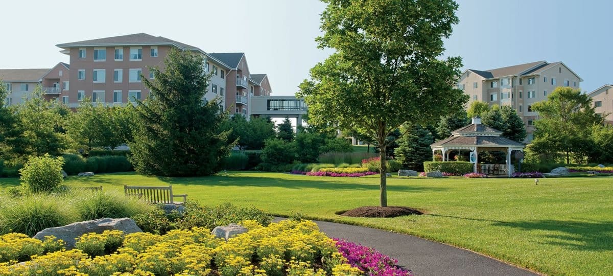 Beautiful landscaped outdoor space with pathways and flowers