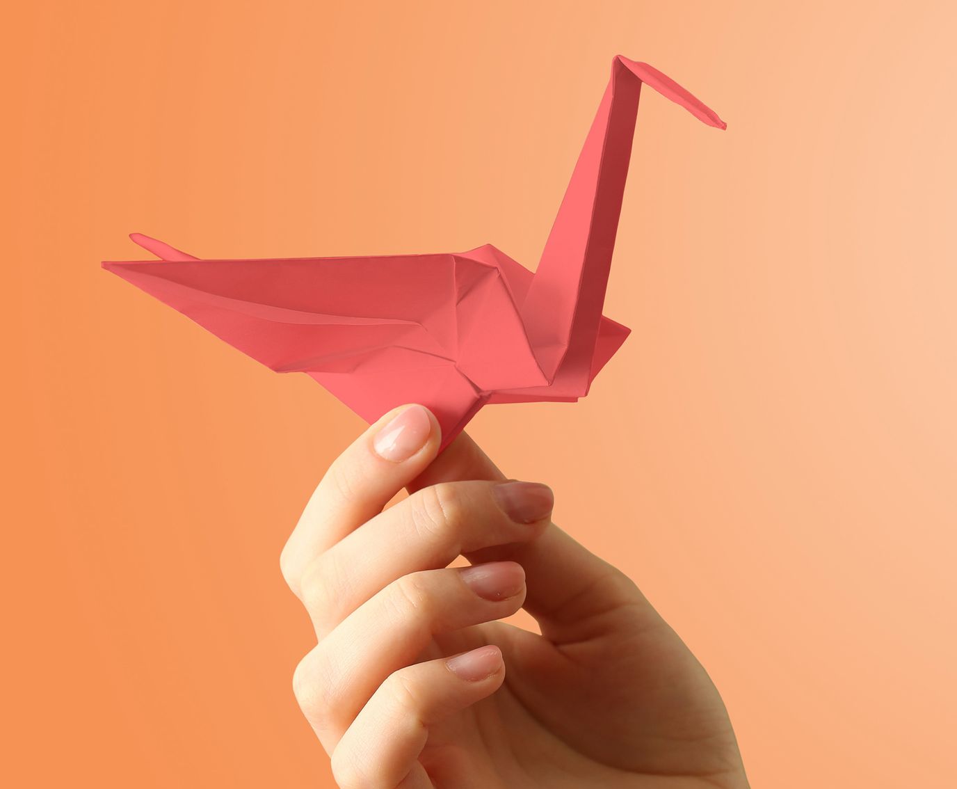 Origami crane in a person's hand