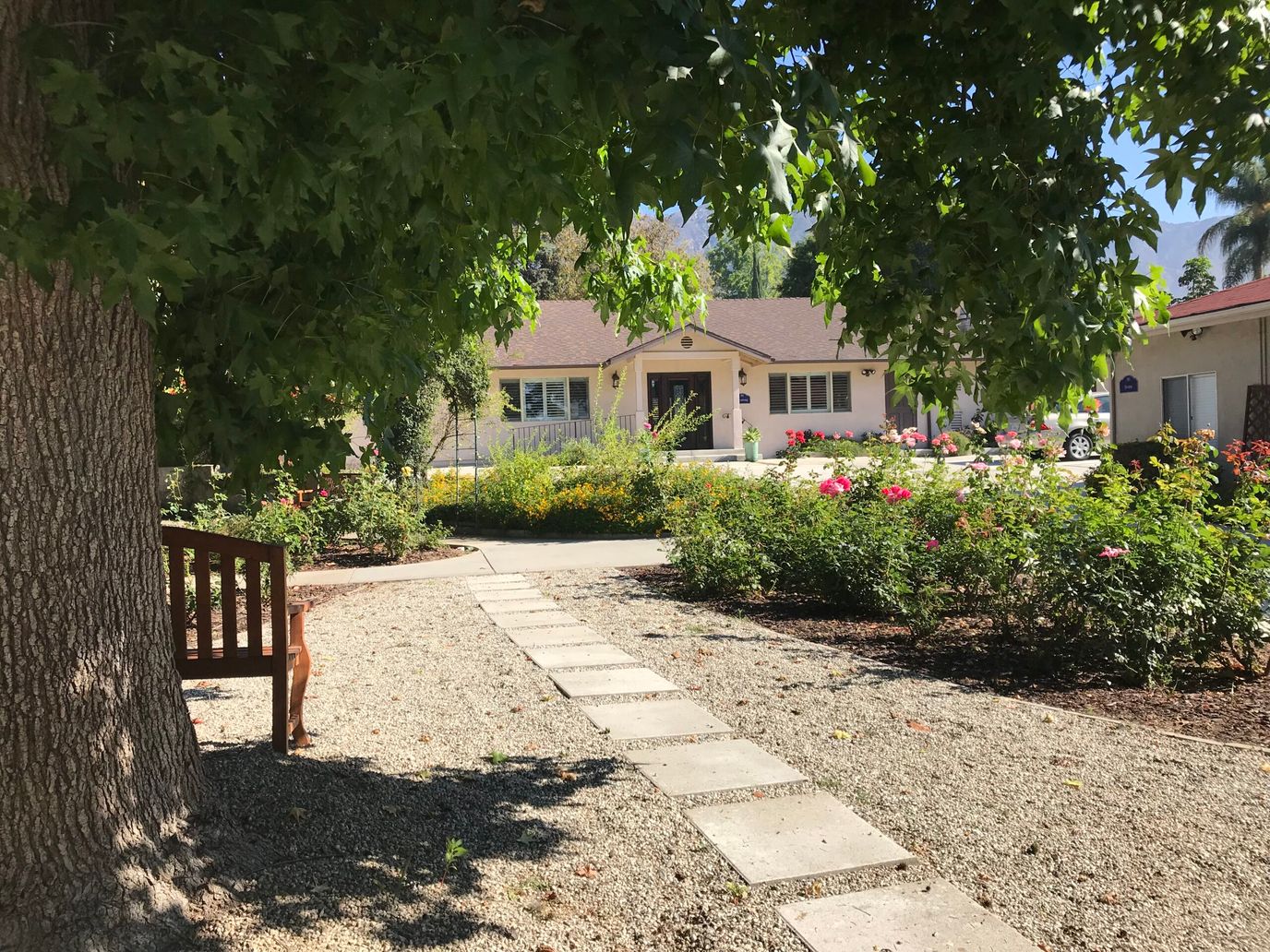 Beautiful outdoor space with garden and walking path