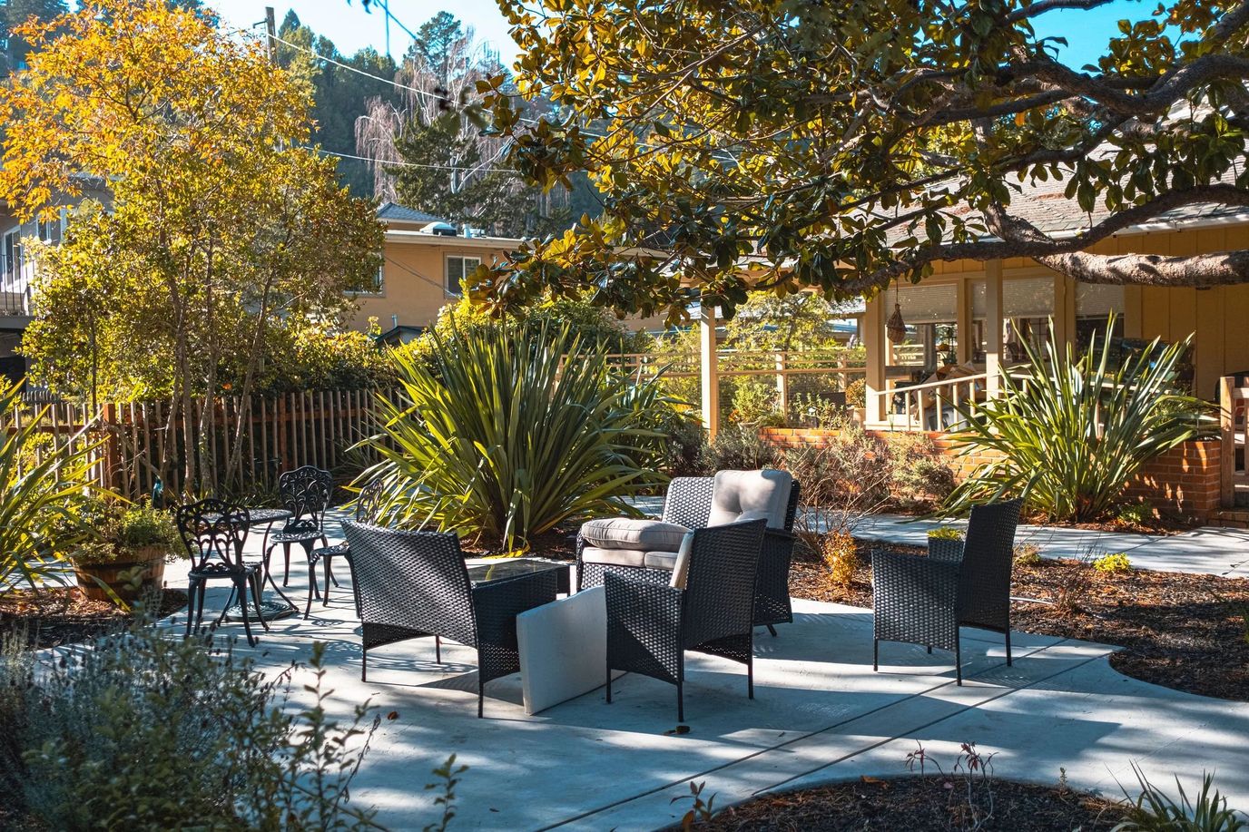 A serene outdoor seating area with plants