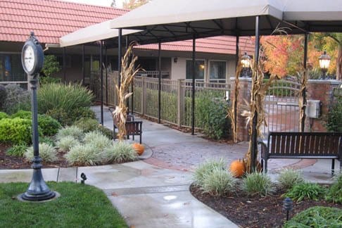 Outdoor pathway with decorative elements and landscaping