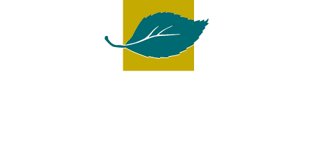 San Carlos Elms