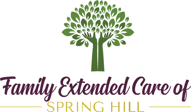 Family Extended Care of Spring Hill Nw Inc
