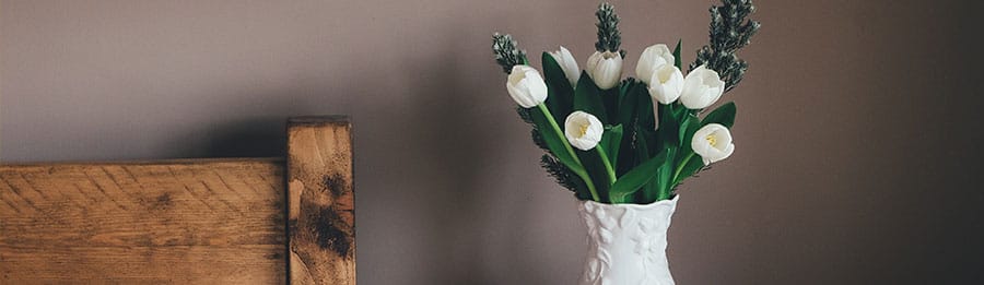 Spanish Oaks Retreat