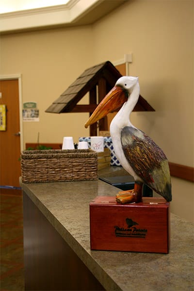 Pelican Pointe Healthcare and Rehabilitation
