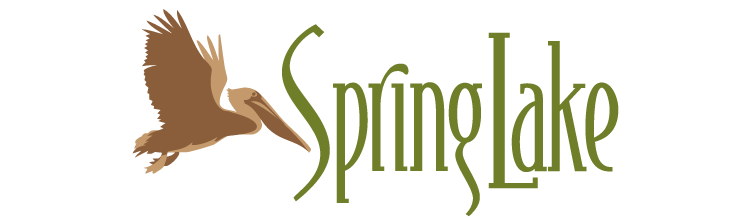 Spring Lake Skilled Nursing and Rehabilitation