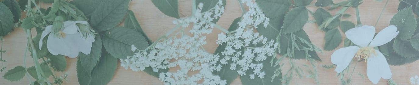 Maison Jardin Senior Living Community