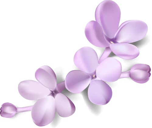 Lilac Homes Enh As Liv Mem Car