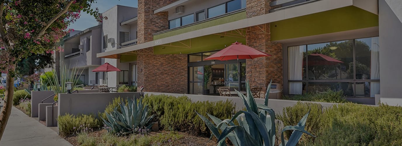 Outdoor seating area with umbrellas and greenery.