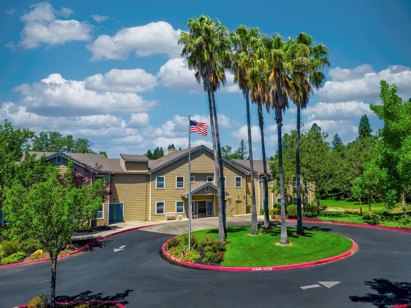 Exterior view of the facility with palm trees