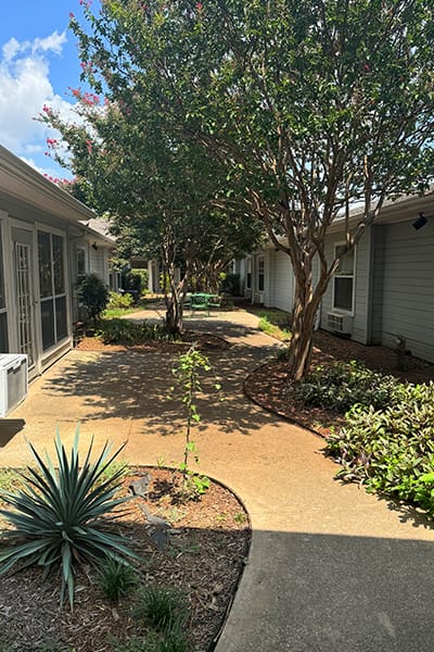 Well-maintained garden pathway between buildings.