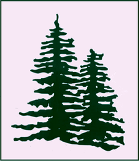 Evergreen Court Adult Day Serv