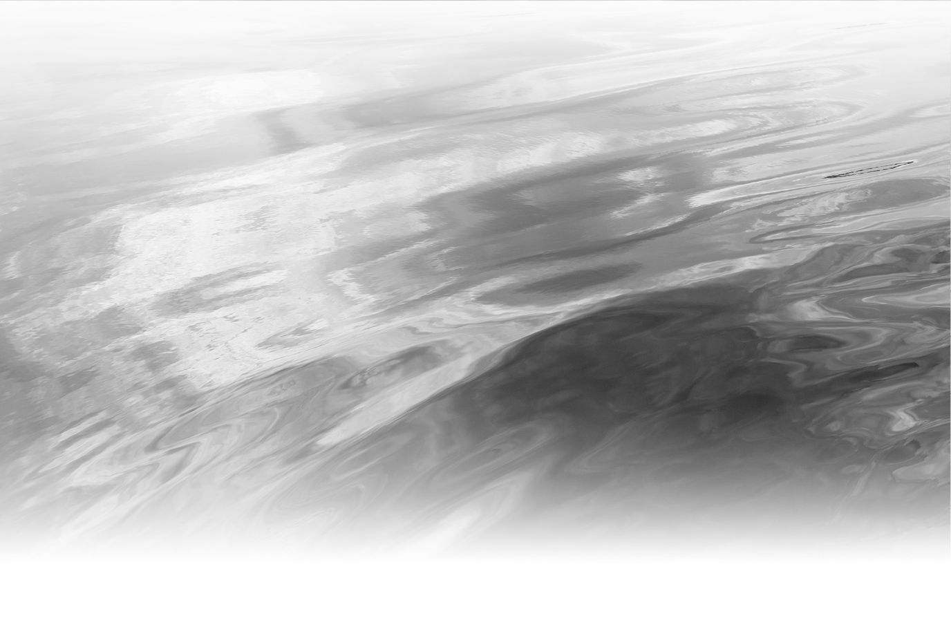 Palmettos of Bluffton