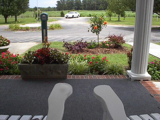 View of outdoor landscape with flowers and trees