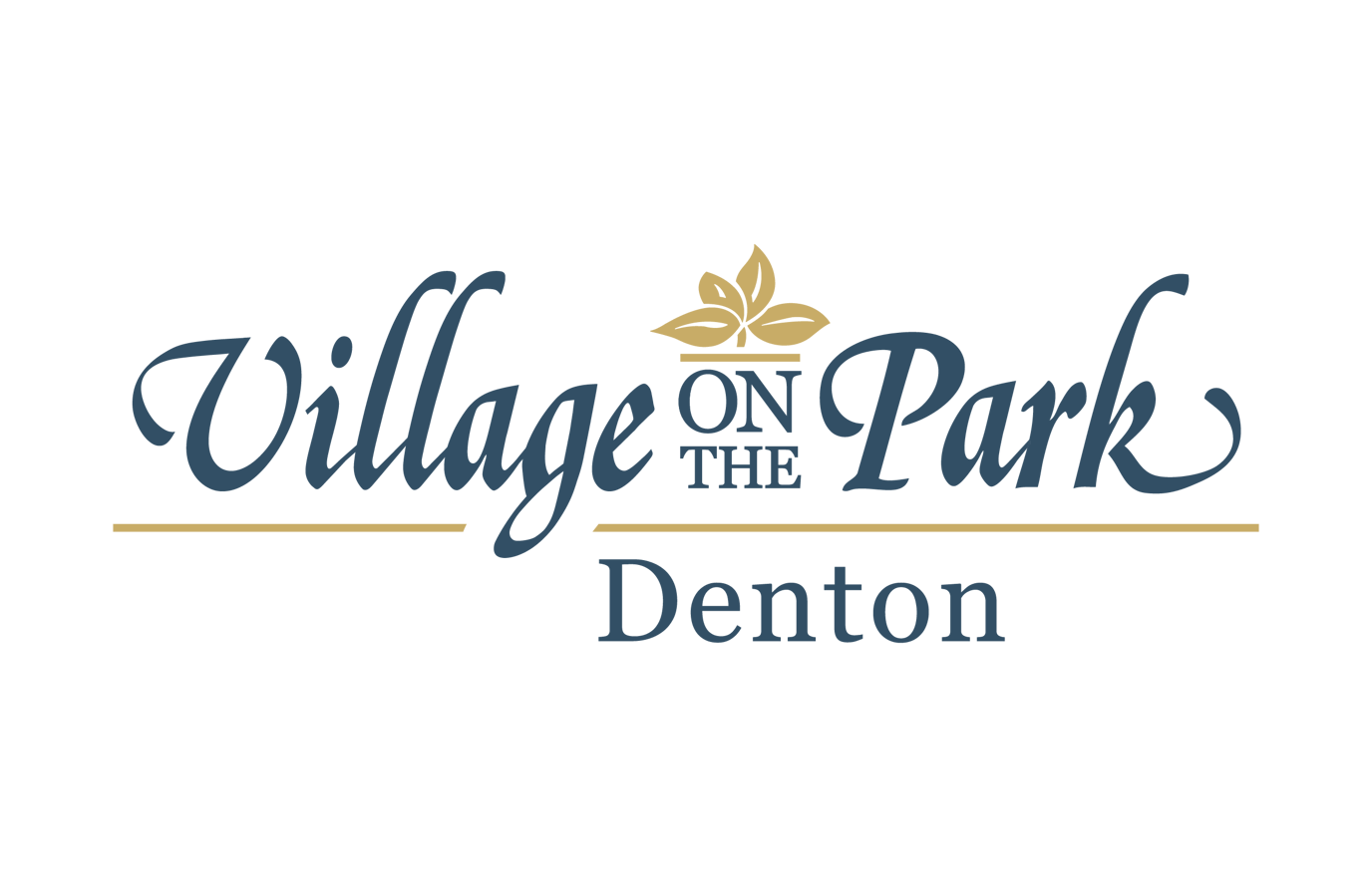 Village on the Park Denton