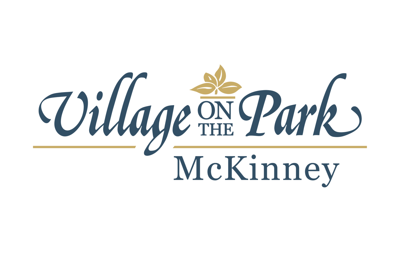 Village on the Park McKinney