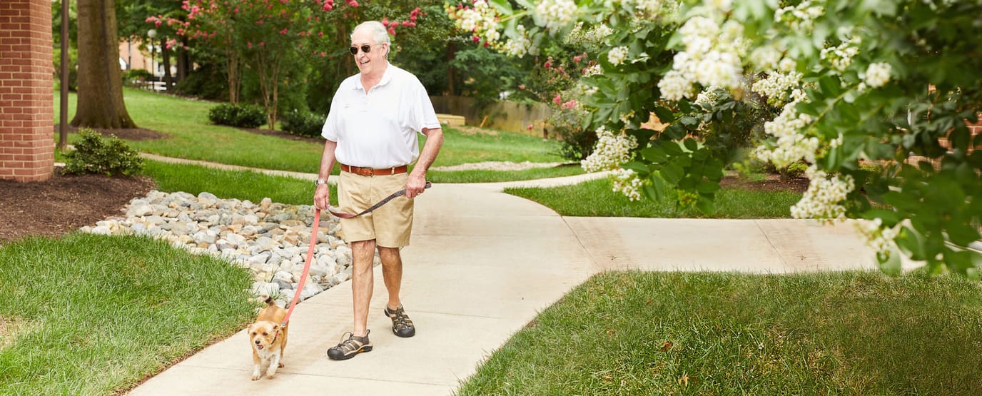 Senior resident walking a dog on a beautiful path