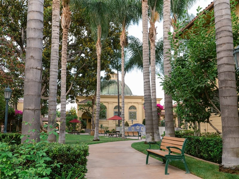 A serene garden space with palm trees and a pathway