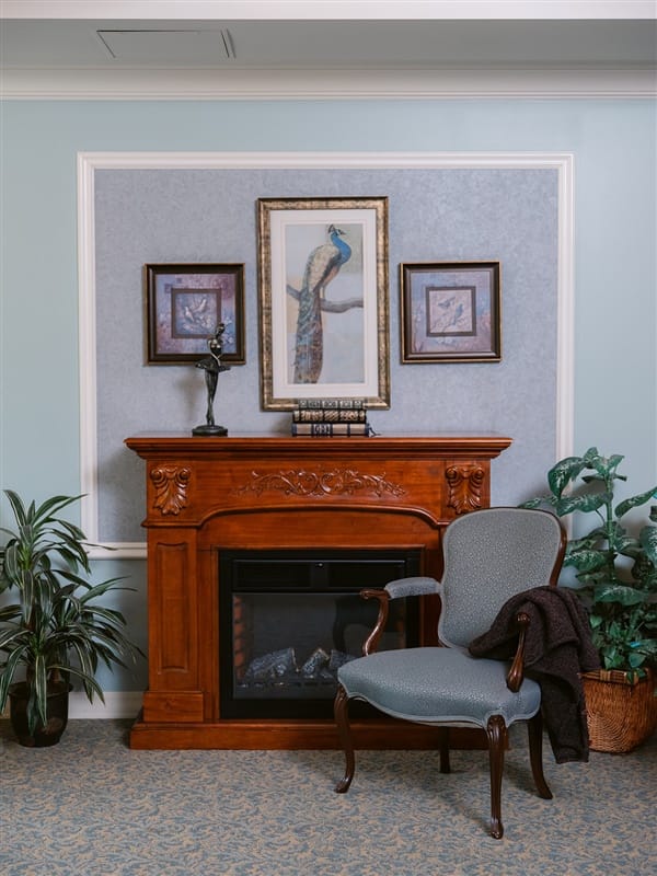 Cozy interior corner with decorative fireplace and plants