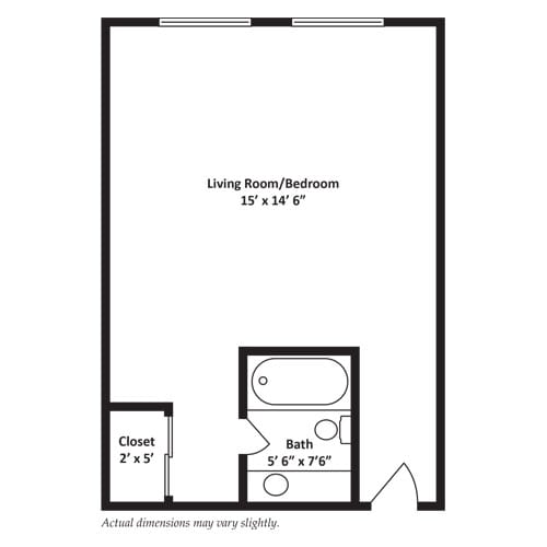 Architectural floor plan of a living room/bedroom unit