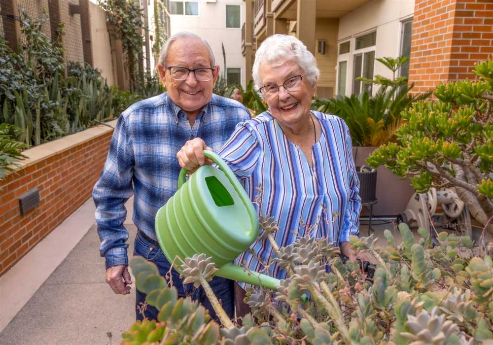 Seniors enjoying gardening in a courtyard