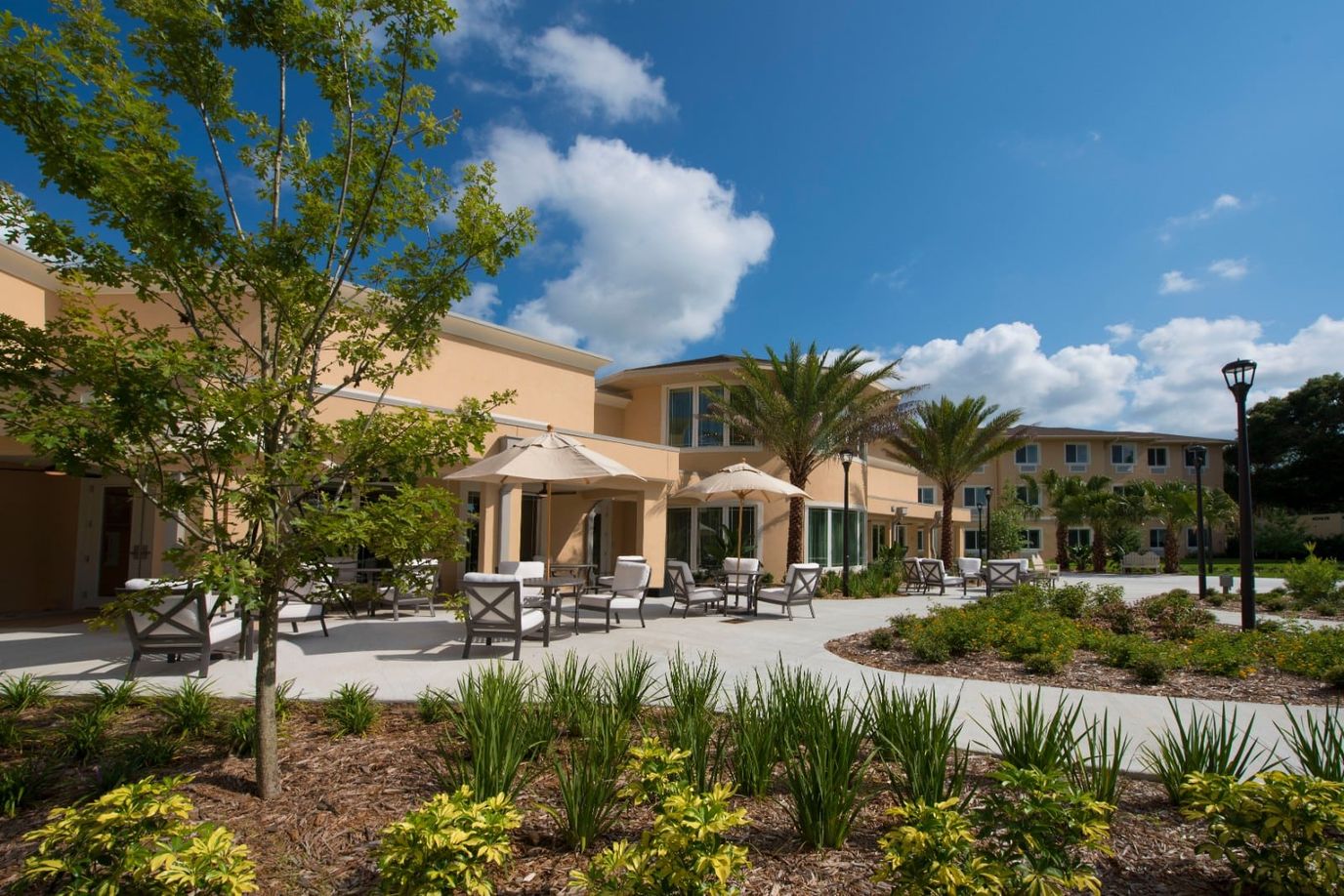 Outdoor seating area with umbrellas and landscaping