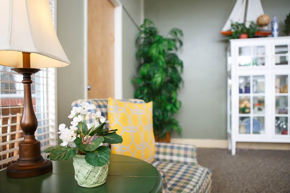 A cozy common area with a plant and seating