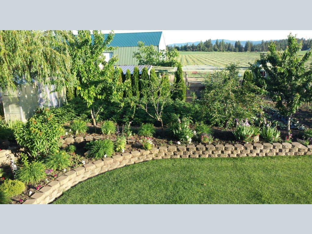 Beautifully landscaped garden in a serene outdoor space